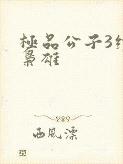 极品公子3续世枭雄