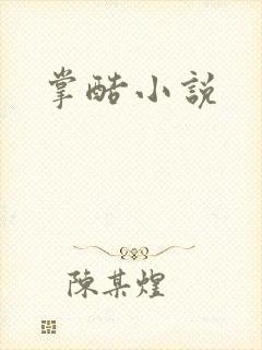 掌酷小说封面