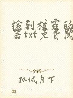 捡到校霸的遥控器txt免费阅读by阳阳