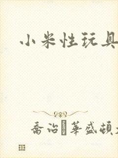 小米性玩具日记