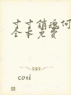 寸寸销魂何生祥全本免费