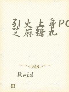 引火上身POP芝麻糖丸