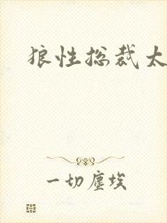 狼性总裁太凶猛封面