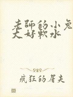 老师的小兔子好大好软水