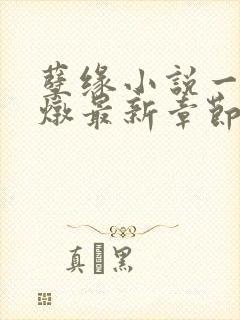 孽缘小说一家乱炖最新章节阅读封面