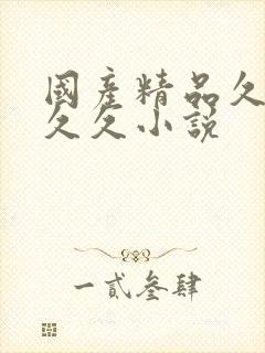 国产精品久久久久久小说封面