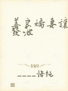 善良娇妻让老丁发泄封面