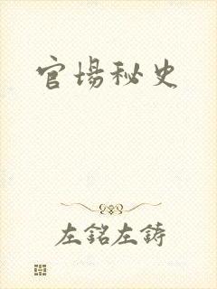 官场秘史