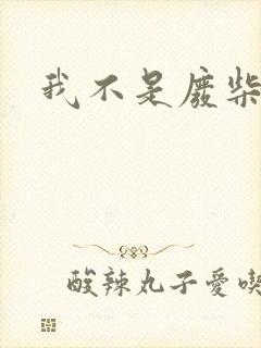 我不是废柴封面