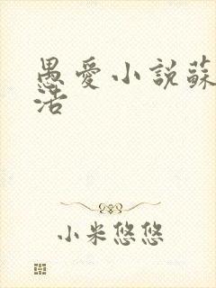 愚爱小说苏倩孙浩封面