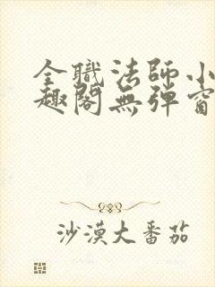 全职法师小说笔趣阁无弹窗无广告封面