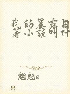 我的暴露日记原著小说叫什么