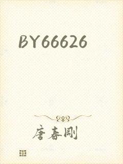 BY66626封面