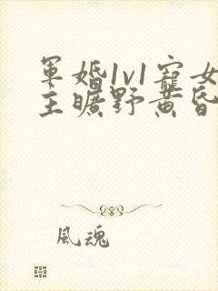 军婚1v1宠女主旷野黄昏