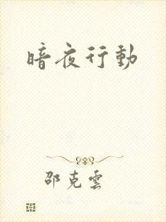 暗夜行动