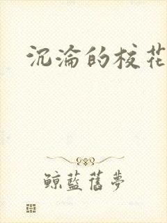 沉沦的校花封面