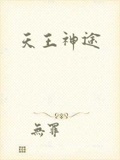 天王神途封面