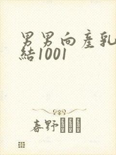 男男向产乳文小结1001封面