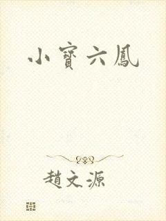 小宝六凤