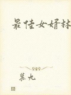 最佳女婿林凡封面