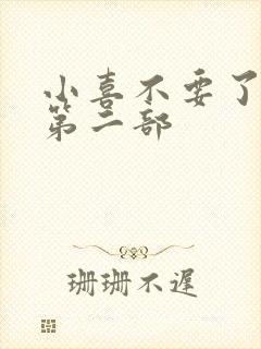 小喜不要了好大第二部封面