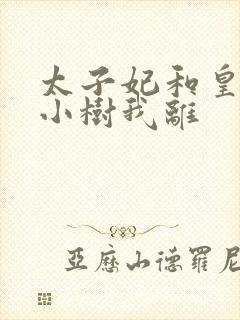 太子妃和皇上在小树我离