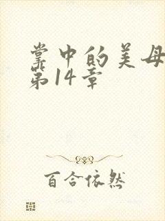 掌中的美母版主第14章