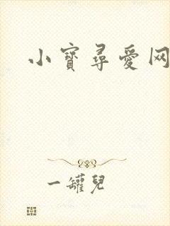 小宝寻爱网