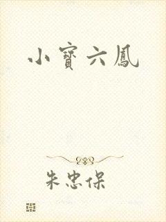 小宝六凤封面