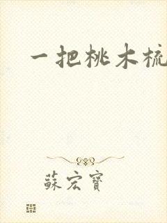 一把桃木梳封面