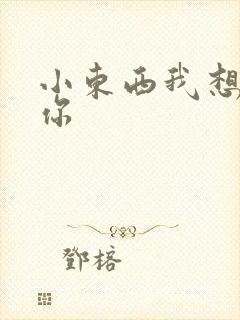 小东西我想弄坏你