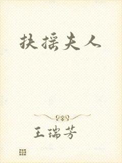 扶摇夫人封面