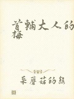 首辅大人的小青梅