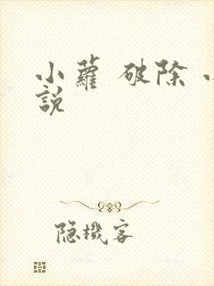 小萝 破除 小说