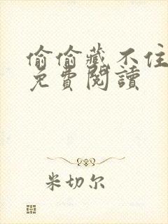 偷偷藏不住小说免费阅读