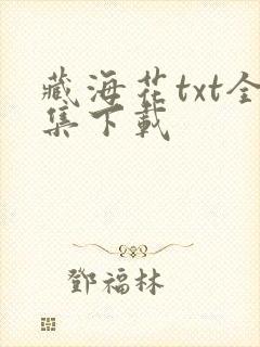 藏海花txt全集下载