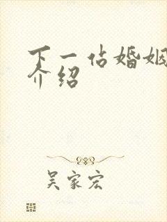 下一站婚姻剧情介绍