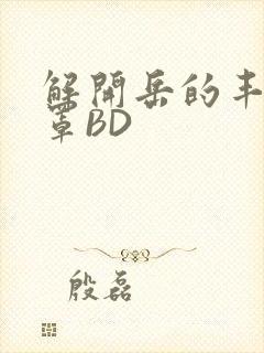 解开岳的丰满奶罩BD