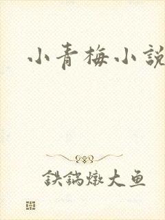 小青梅小说