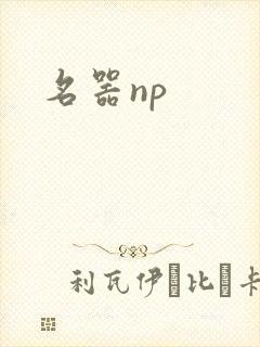 名器np