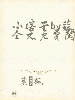 小瞎子by苏软全文免费阅读