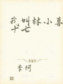 我叫林小喜今年十七封面