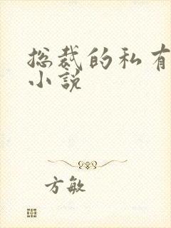 总裁的私有宝贝小说