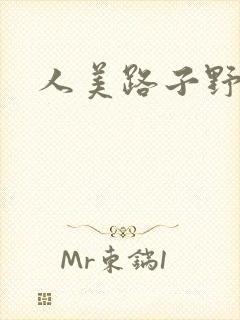 人美路子野封面