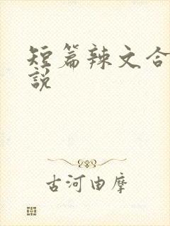 短篇辣文合集小说封面