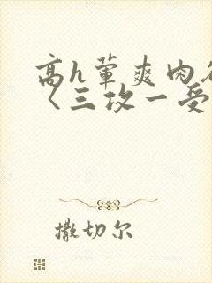 高h荤爽肉欲文〈三攻一受