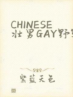 CHINESE壮男GAY野战强迫TUBE