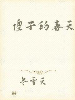 傻子的春天封面