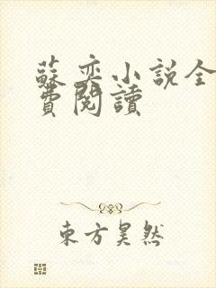 苏奕小说全文免费阅读