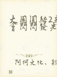 大团圆结2亲情会闪闪发光亲情会2封面